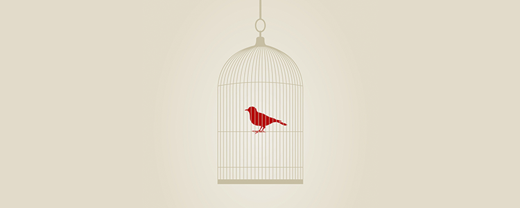 服务器攻击软件